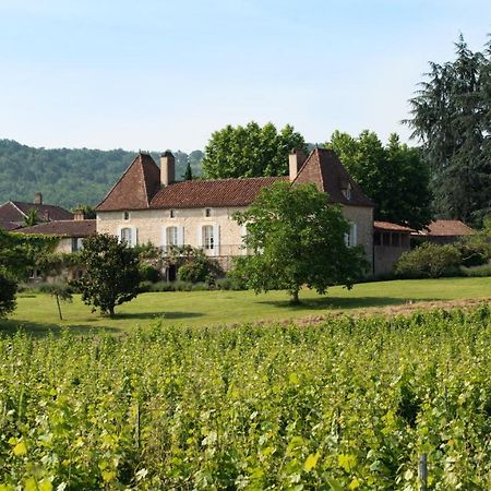 Chateau Gautoul Puy-lʼÉvêque Dış mekan fotoğraf